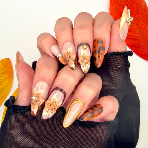 Amber Tortoise