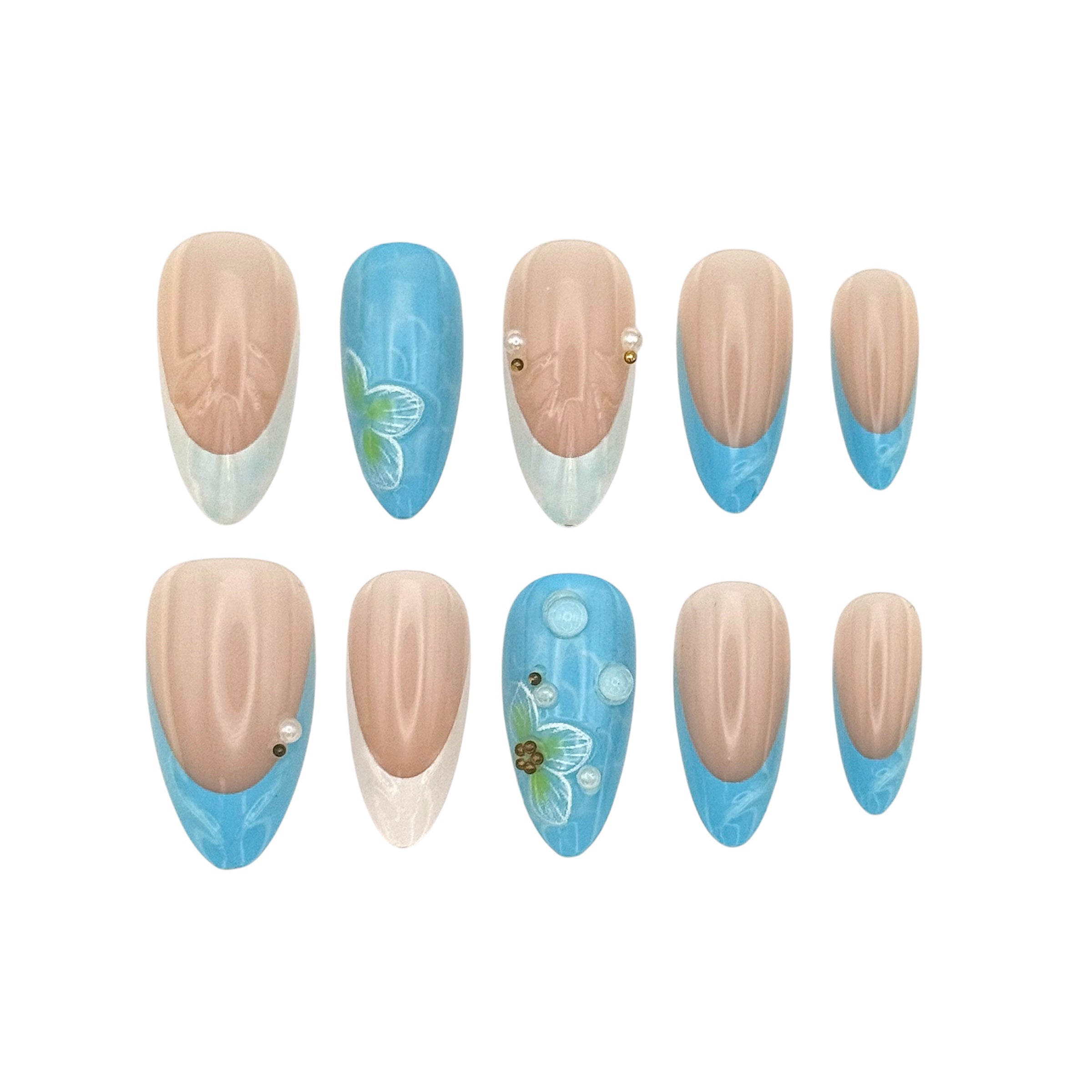 Ocean Shells