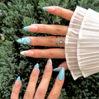 Ocean Shells