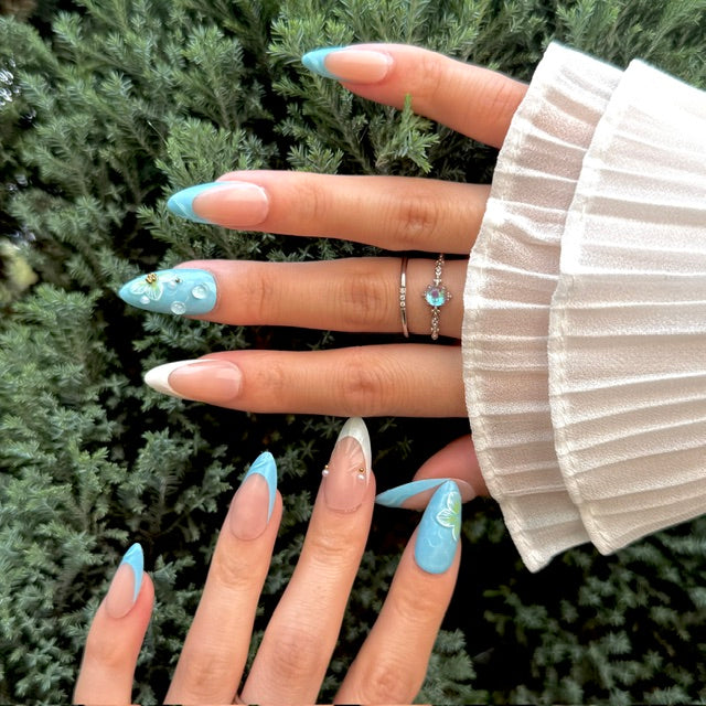 Ocean Shells
